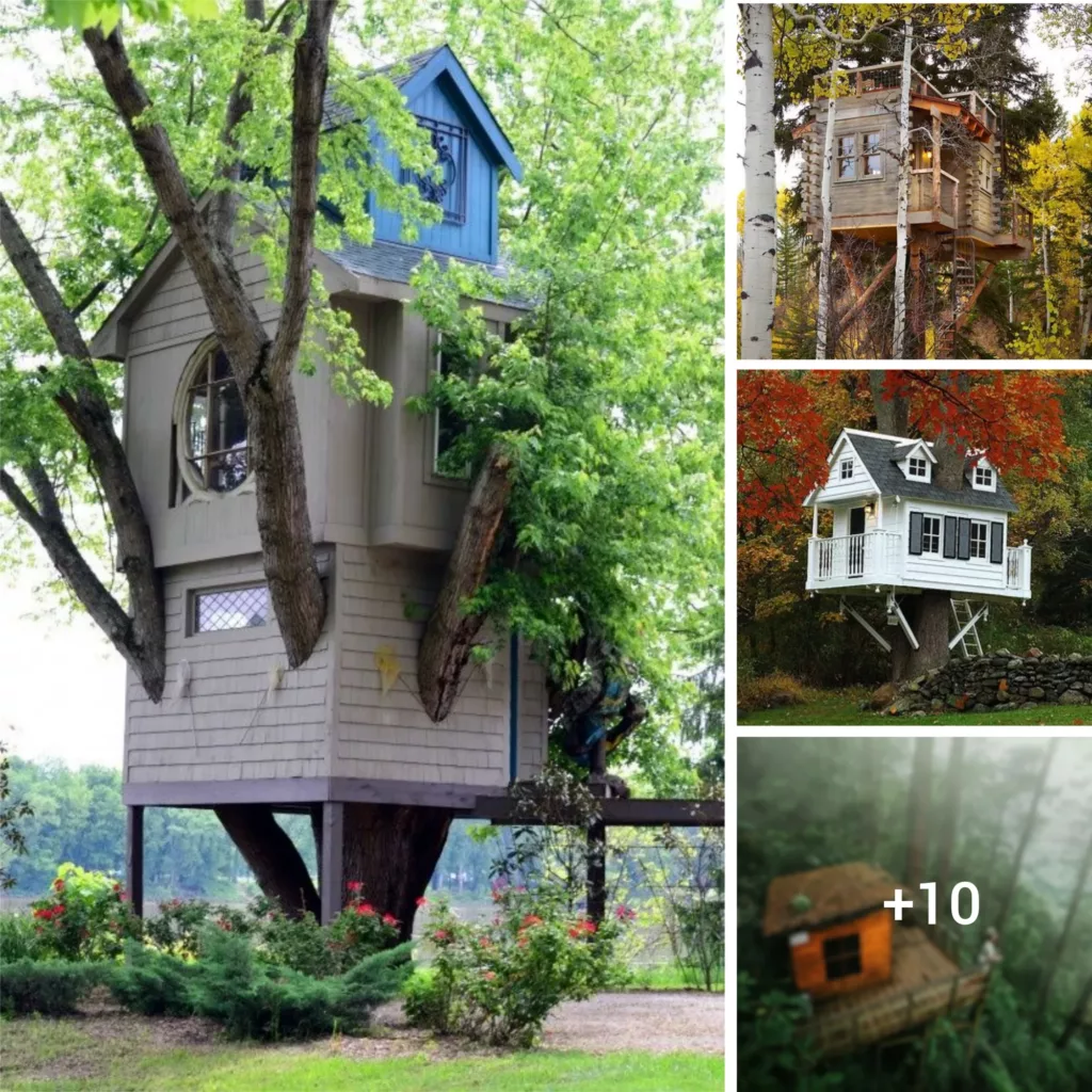 Living in Harmony with Nature: The Fascination of Treehouse Living