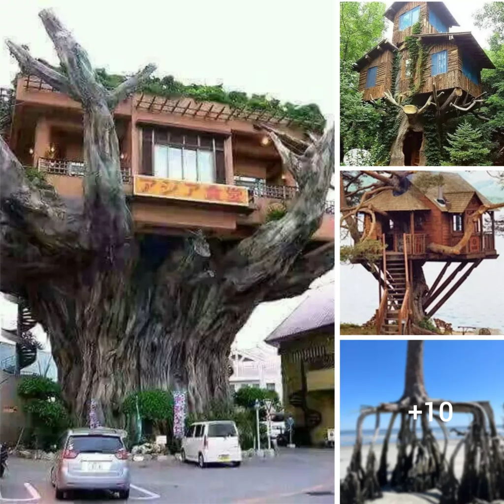 “Raising the Magic: Exploring the Enchanting Universe of Treehouse Living”